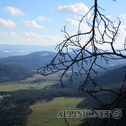 IMG_0197