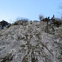 IMG_0199