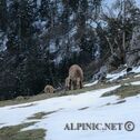 IMG_0209