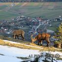 IMG_0220