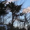 IMG_0221