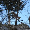 IMG_0224