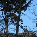 IMG_0227
