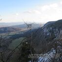 IMG_0228