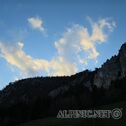IMG_0232