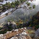 IMG_8335_DxO_aDxO