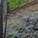 IMG_8342_DxO_aDxO