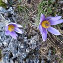 IMG_4587_lo_dxo