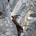 IMG_4598_lo_dxo
