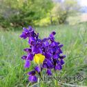 IMG_1951_lo_dxo