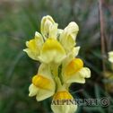 IMG_8066_aDxO