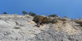 Tiwaz 7-