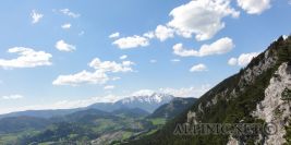 Tiwaz 7-