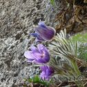 IMG_6629_DxO