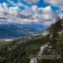 IMG_9987