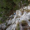 IMG_9989
