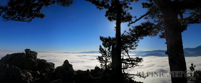 [Group 1]-IMG_4047_IMG_4049-3 images