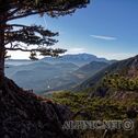 IMG_8489_aDxO