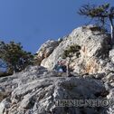 IMG_9515_DxO