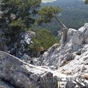 IMG_9521_DxO
