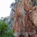 DSC05055