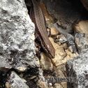 IMG_1404_lo_dxo