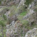IMG_1846_lo_dxo