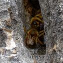IMG_7165_DxO