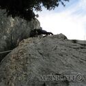 IMG_6177