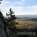 IMG_6180