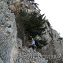 IMG_6184