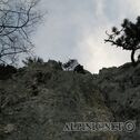 IMG_6192