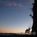 IMG_6203