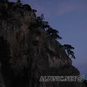 IMG_6205