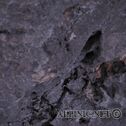 IMG_6207