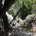 DSC07411