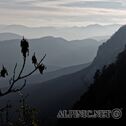 IMG_5786_lo_dxo