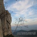IMG_1086