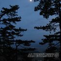 IMG_1095