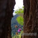 IMG_8732_DxO