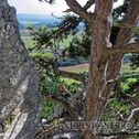 IMG_9092_DxO