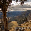 IMG_1057
