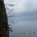 IMG_0988