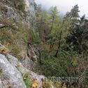 IMG_0990