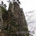IMG_0992