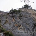 IMG_1005