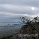 IMG_1010
