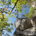 DSC03709