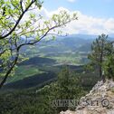 IMG_0533