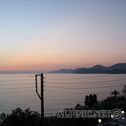 IMG_3976